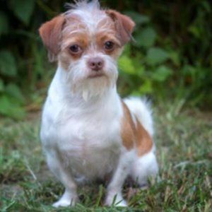 Meet your Posher, 수민